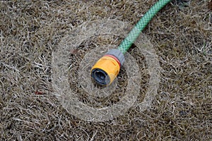 Garden hosepipe lying unused on dead grass