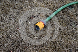 Garden hosepipe lying unused on dead grass