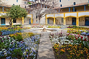 Garden of the Hospital Arles France photo