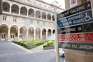 Garden of the Hospital Hotel-Dieu in Paris