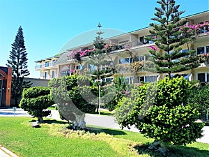 Garden in hotel with exotic trees and building adorned with blooming bougainvillea,  Mediterranean sea