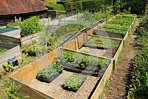 Garden with hothouses in Great Dixter House & Gardens in the summer.