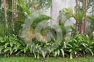 Garden house attached to the wall with palms and garden grasses