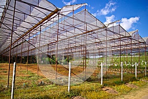 Garden house in the farm area