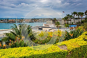 Garden and houses overlooking Newport Beach