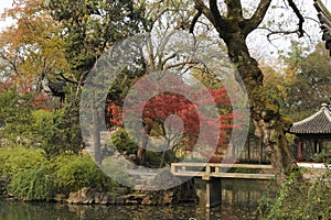 Garden of the Humble Administrator, Suzhou, China photo