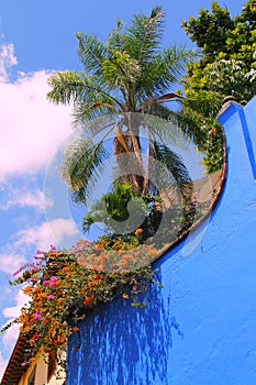 Garden as part of the city of cuernavaca, morelos, mexico. I photo