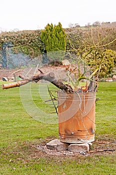 Garden incinerator