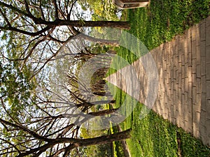 Garden Infinity Walkway Path