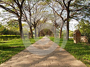 Garden Infinity Walkway Path