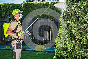 Garden Insecticide by Spraying photo