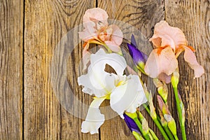 Garden irises on wooden background.