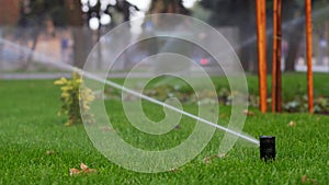 Garden irrigation sprinkler watering lawn in the park near walkway. Automated rotating irrigation system. Green grass