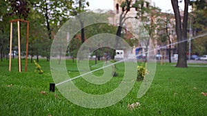 Garden irrigation sprinkler watering lawn in the park near walkway. Automated rotating irrigation system. Green grass