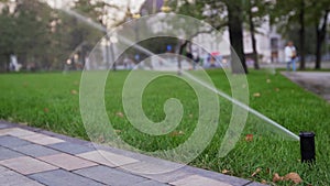 Garden irrigation sprinkler watering lawn in the park near walkway. Automated rotating irrigation system. Green grass