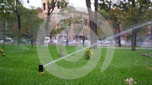 Garden irrigation sprinkler watering lawn in the park near walkway. Automated rotating irrigation system. Green grass