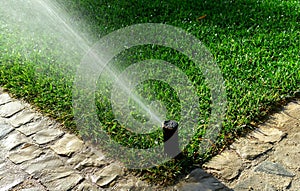 Garden irrigation system