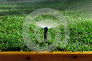 Garden irrigation system