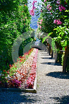 Isola Bella. Italy. photo