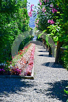 Isola Bella. Italy. photo