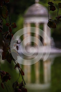 Garden of an italian villa