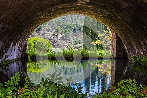 The garden of jardines de alfabia