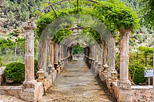 The garden of jardines de alfabia