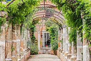 The garden of jardines de alfabia photo