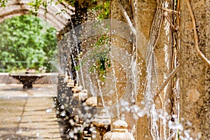 The garden of jardines de alfabia photo