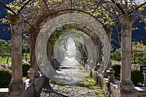 Garden Jardins d`Alfabia, Mallorca island