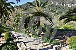 Garden Jardins d`Alfabia, Mallorca island photo