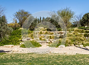 The garden in Kibbutz Sde Boker, Negev desert