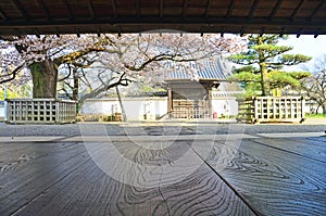 Garden of Kodokan, Mito Clan`s school