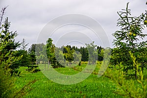 Garden in Koknese park Garden of Destinies in Latvia