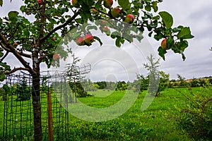 Garden in Koknese park Garden of Destinies in Latvia