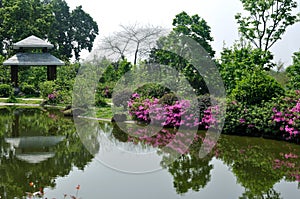 Garden with lake and gloriette