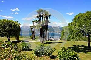 Garden by the Lake Maggiore, Italy