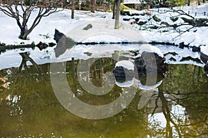 Garden with lake and snow,Yokohama, Tokyo, Japan