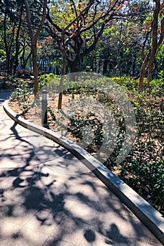 Garden lamp, green tree with shadow on the road in urban park