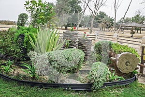 Garden landscape, Garden landscape design with plants, grass bricks stone