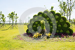 Garden landscape, three-dimensional flower beds