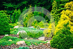 Garden Landscaping Design. Flower Bed, Green Trees