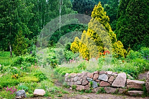 Garden Landscaping Design. Flower Bed, Green Trees