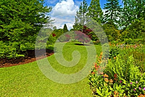 Garden landscaping, Srpingtime