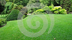 Garden Lawn photo