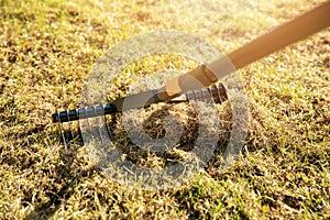 Garden lawn aeration with scarifier rake photo