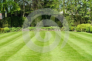 Garden Lawn