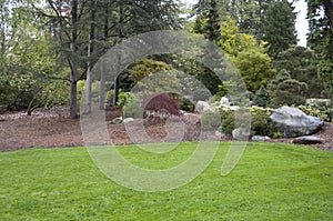 Garden lawn after spring rain