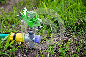 Garden lawn sprinkler. Automatic garden watering system