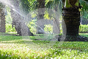 Garden lawn water sprinkler system